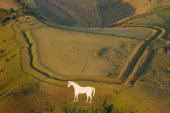 Westbury White Horse