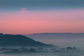 Misty dawn, Vale of Pewsey