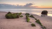 Orcombe Beach