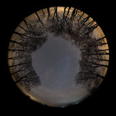 Night Sky, Salisbury Plain