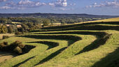 Strip lynchets, Mere Down