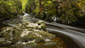 Fairy Glen