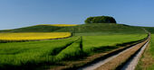 Furze Knoll, Morgans Hill