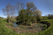 Bybrook Meander, Box