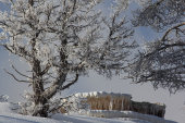 Mammoth Hot Springs