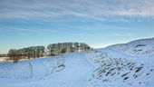 Strip lynchets, Bishopstone