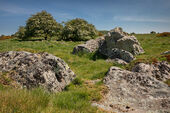 Fyfield Down