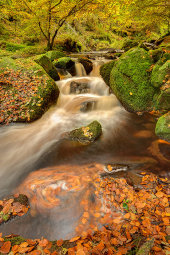 Wyming Brook