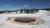 Chromatic Spring