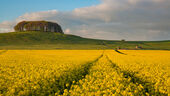 Furze Knoll, Morgans Hill