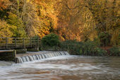 Salisbury Avon Weir, Charlton All Saints