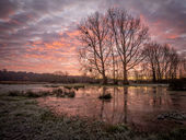 Salisbury Avon floodplain, Charlton All Saints