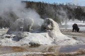 Grotto Geyser