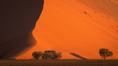 Sand dune at sunset