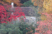 Gothic Cottage in Autumn