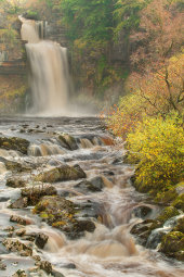 Thornton Force