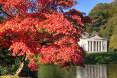 Maple and Pantheon