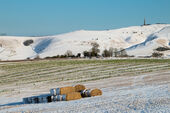 Cherhill Down
