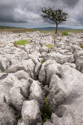 Conistone Limestone pavement