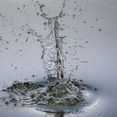 Splash, Langford Lakes