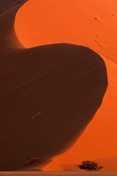 Sand dune at sunset
