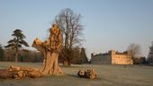 Lydiard Park