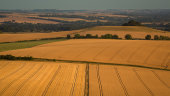 Woodborough Hill and Vale of Pewsey