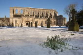 Malmesbury Abbey