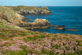 The Wick, Skomer