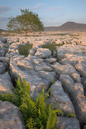 Twistleton Scar