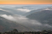 Dart River Valley at dawn