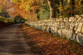 Country lane, Rockley