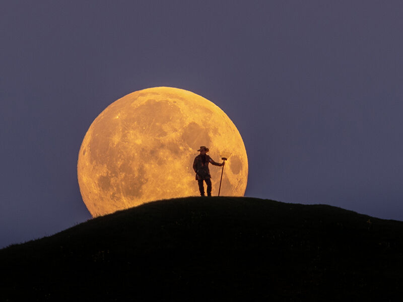 Moonraker