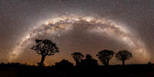 Milky Way over Quiver Trees