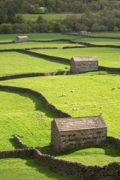 Gunnerside Meadows