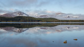 Loch Morlich