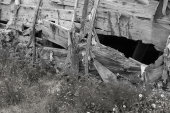 Fishing shed, Lindisfarne