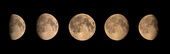 Lunar Mosaic
