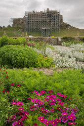 Scaffolding on Lindisfarne Castle