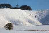 Cherhill White Horse