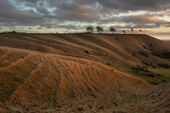 Roundway Down
