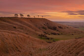 Roundway Down