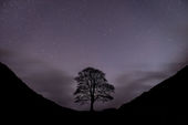 Winter Sky, Sycamore Gap