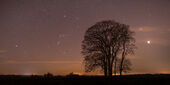 Sirius, Orion and Venus, Salisbury Plain