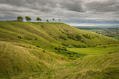 Roundway Down