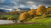 Loughrigg Tarn in Autumn