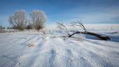 Hoar frost, Waden Hill