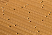 Harvest Patterns, Kemble