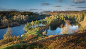 Tarn Hows