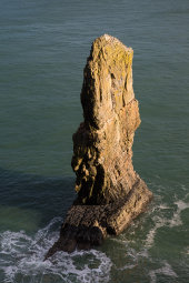 Elegug Stack